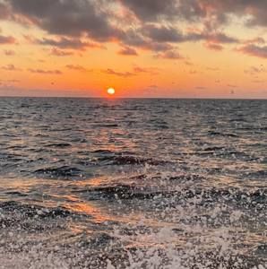 Meet your Posher, Reese